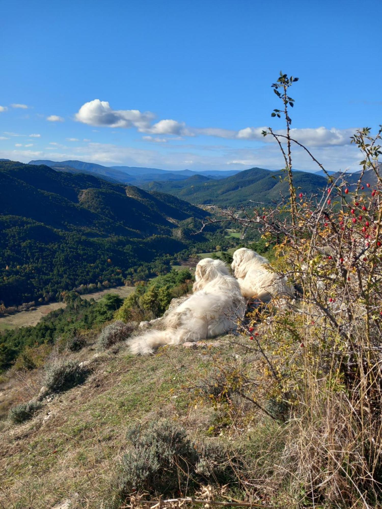 Gite La Mountagna Peyroules Luaran gambar